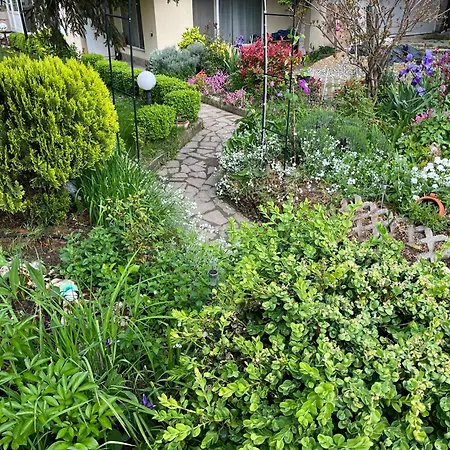 Evksinograd Apartamento