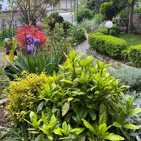 Evksinograd Apartmán