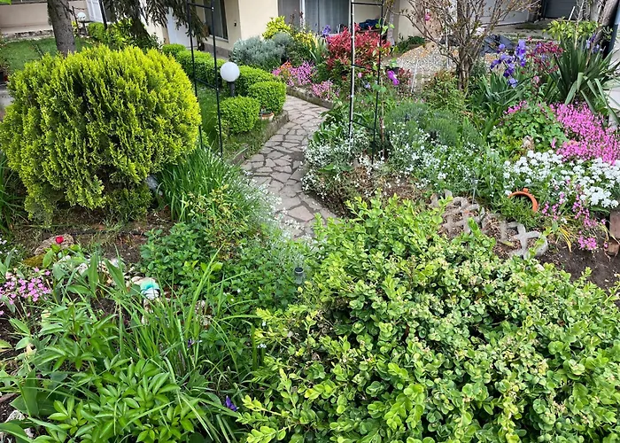 Evksinograd דירה