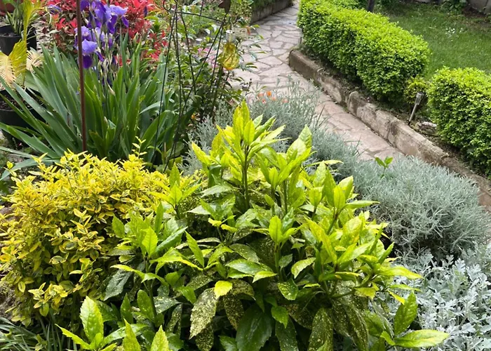 דירה Evksinograd וארנה